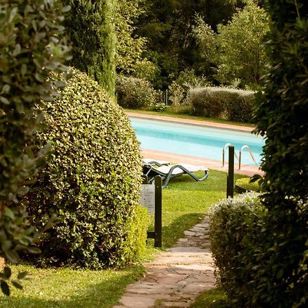 Casetta Di Butia, Glicine Apartment Borgo a Mozzano Ngoại thất bức ảnh